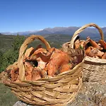 Country Bonansa