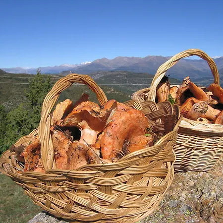 Country Bonansa